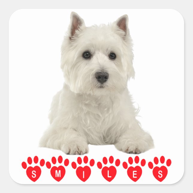 Adesivo Quadrado West Highland Terrier White Puppy Dog Hello Smile (Frente)