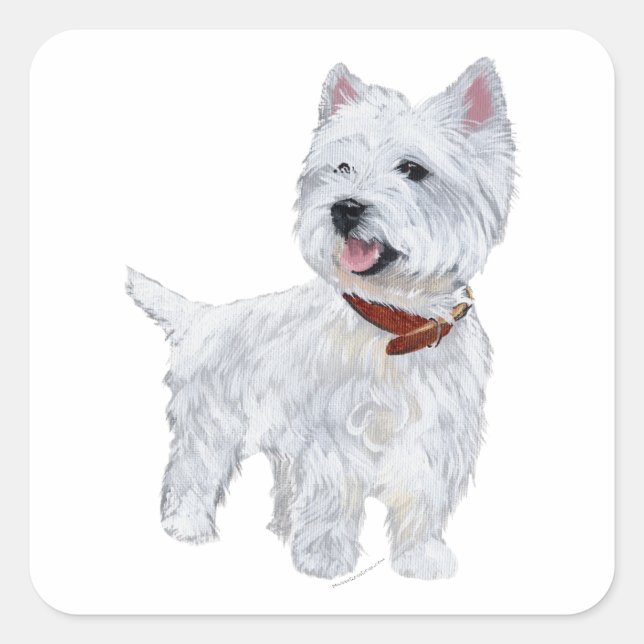 Adesivo Quadrado West Highland White Terrier (Frente)