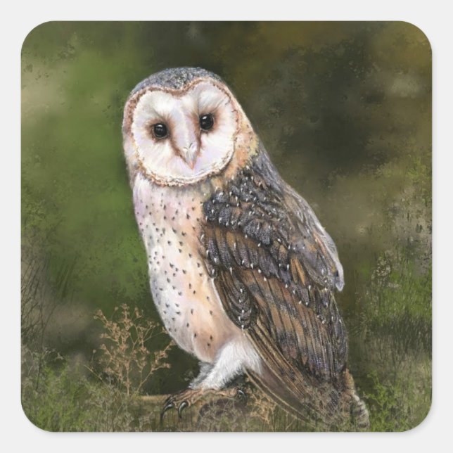 Adesivo Quadrado Western Barn Owl Sticker (Frente)