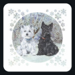 Adesivo Quadrado Westie e Scottie na Paisagem de Neve<br><div class="desc">Criado da minha obra de arte original,  West Highland White Terrier e Scottish Terrier desfrutam de uma paisagem nevada. Design está disponível em roupas,  novidades e presentes!</div>