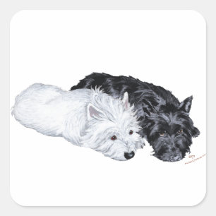 Adesivo Quadrado Westie & Scottie à Vontade