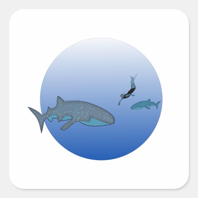 Adesivo Quadrado Whaleshark Sticker (Frente)