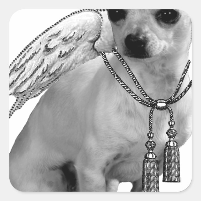 Adesivo Quadrado White Chihuahua Angel Wings (Frente)