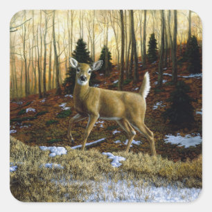 Adesivo Quadrado Whitetail Deer Doe na Floresta de outono