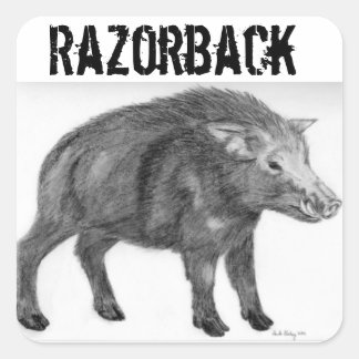 Adesivo Quadrado Wild Boar, Defensive Stance