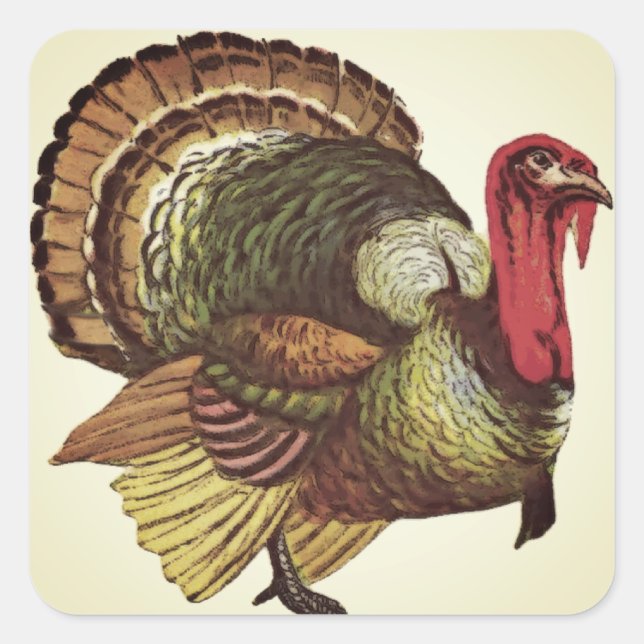 Adesivo Quadrado Wild Turkey Sticker (Frente)