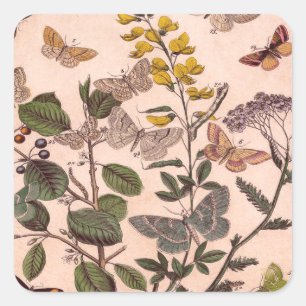 Adesivo Quadrado Wildflowers florais botânicos da ilustração do