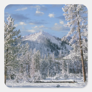 Adesivo Quadrado Winter in Yellowstone National Park, Wyoming