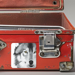 Adesivo Quadrado Wolf Stare Abaixo
