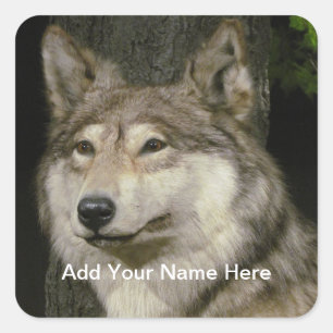 Adesivo Quadrado Wolf Sticker