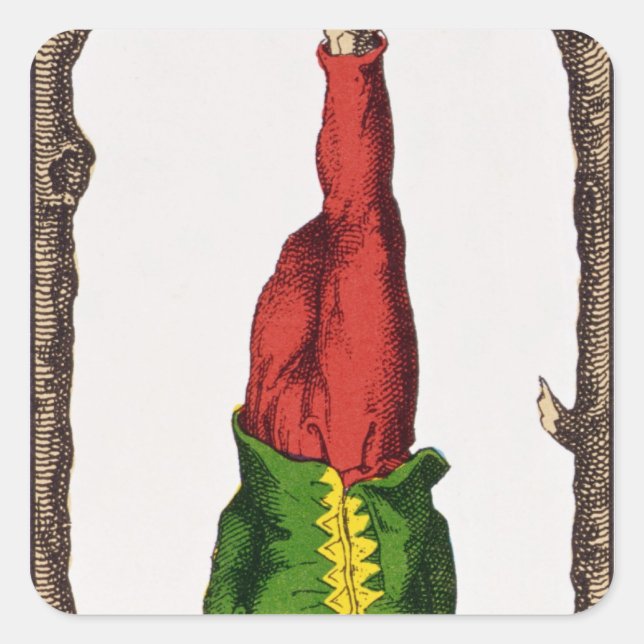 Adesivo Quadrado XII O homem enforcado, cartão tarot (Frente)