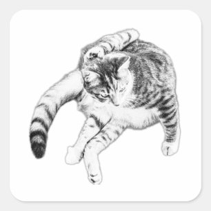 Adesivo Quadrado Yoga, Mas Faça Isso Gato