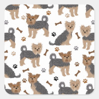 Yorkshire Terrier Paws e Bones Yorkie Dog
