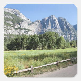 Adesivo Quadrado Yosemite Valley Meadow, El Capitan, Staycation