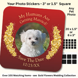 Adesivo Quadrado Your Pet Photo, Save The Date, Gold Flowers Maroon
