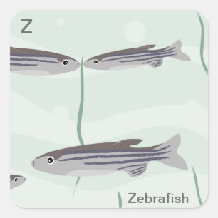 Adesivo Quadrado Z para o Sticker zebrafish