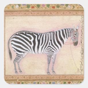 Adesivo Quadrado Zebra, de "do álbum Minto", 1621 (gouache no pa