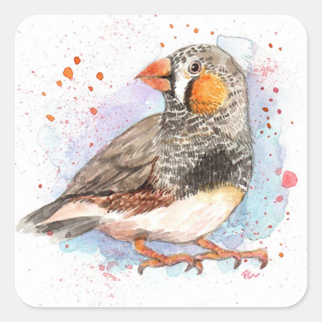 Adesivo Quadrado Zebra Finch (Frente)