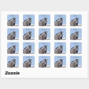 Adesivo Quadrado Zebra olhando para você com texto de foto azul do