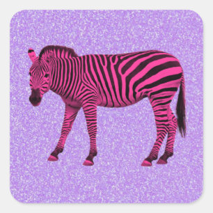 Adesivo Quadrado Zebra Rosa Quente em Roxo