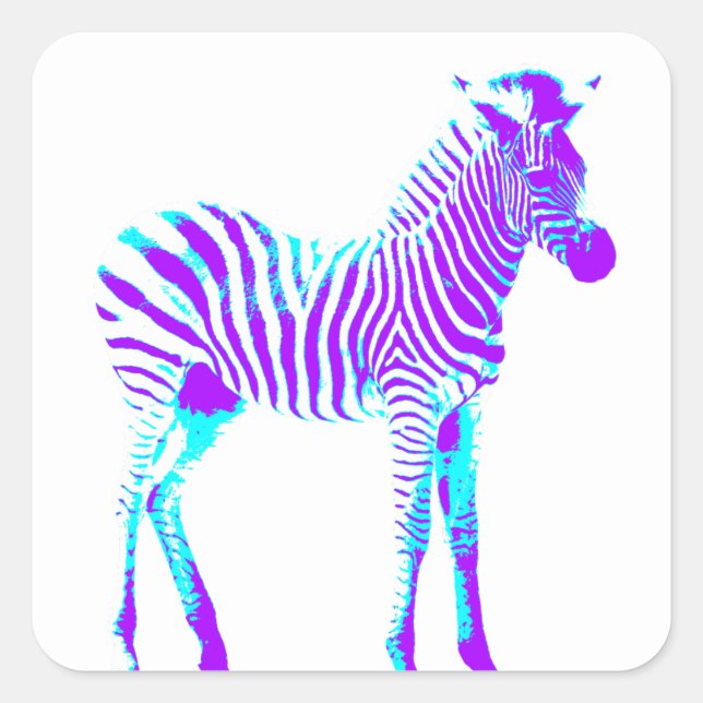 Adesivo Quadrado Zebra Square Sticker (Frente)