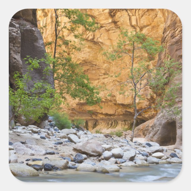 Adesivo Quadrado Zion Narrows (Frente)