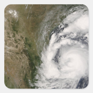 Adesivo Quadrado Zorra tropical da tempestade