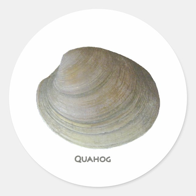 Adesivo Quahog Clam (Frente)