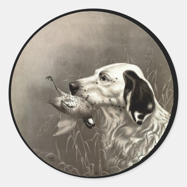 Adesivo Quail (Frente)