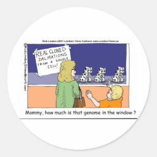 Adesivo Quanto É Esse Genoma Dalmático Na Janela?