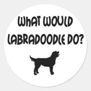 Adesivo Que Labradoodle faria? T-shirt & presentes