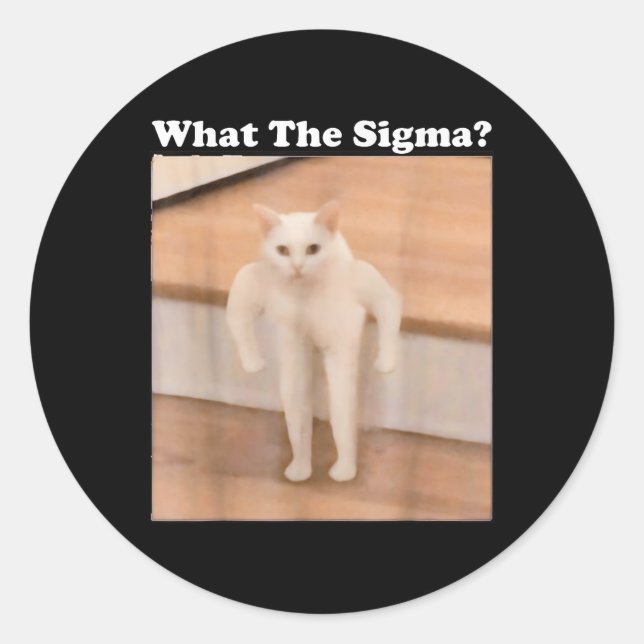 Adesivo Que Meme Sigma Meme da Internet Memes Engraçado Me (Frente)