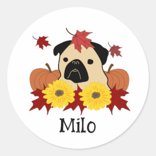 Adesivo Quebra de Pug com Folhas, Pumpkins e Girassóis