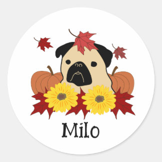 Adesivo Quebra de Pug com Folhas, Pumpkins e Girassóis
