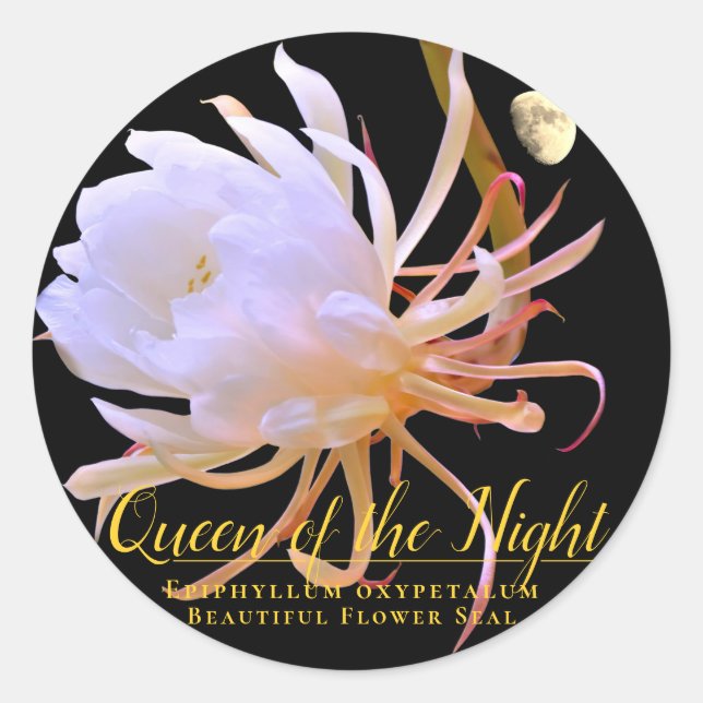 Adesivo Queen of the Night (Frente)