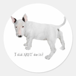 Adesivo Quem, eu?  Cachorrinho Bull Terrier