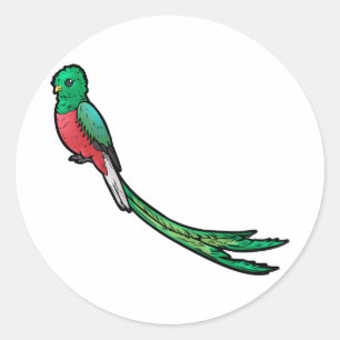 Adesivo Quetzal
