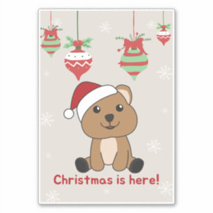 Adesivo Quokka Natal Snow Animais de inverno Quokkas Stick