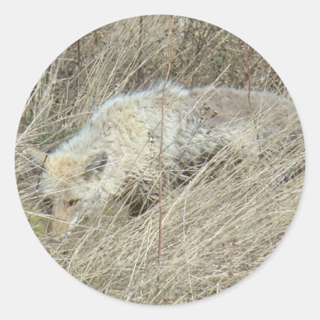 Adesivo R13 Coyote em Grama Alta (Frente)