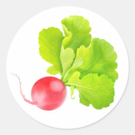 Adesivo Rábano-vermelho