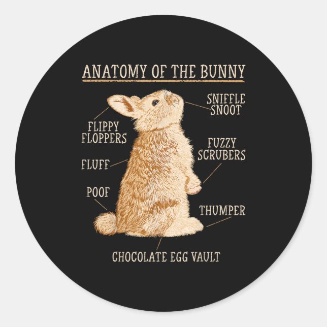 Adesivo Rabbit Anatomy Bunny Lover Animal Pet Owner  (Frente)