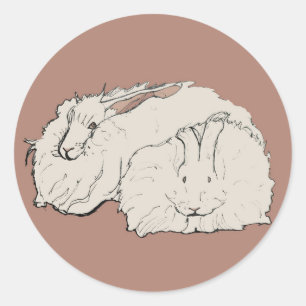 Adesivo Rabbits Angora Gigantes