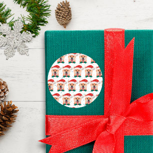 Adesivo Raça de Cachorro Shiba Inu Estrelas de Natal