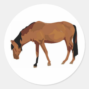 Adesivo Raça de Cavalo