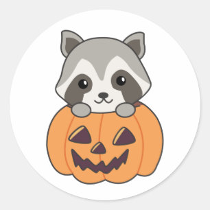 Adesivo Raccin Em Pumpkin, Sweet Raccoon Feliz Halloween