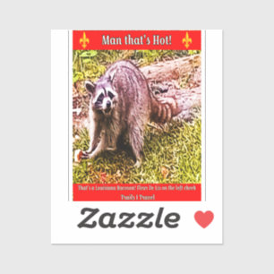 Adesivo Raccoon Com Uma Flor De Lis Sticker