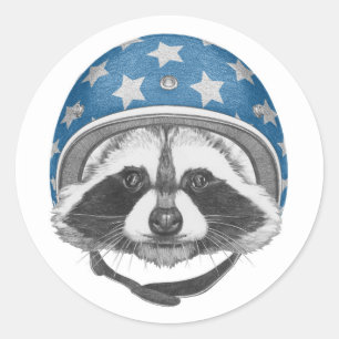 Adesivo Raccoon Daredevil
