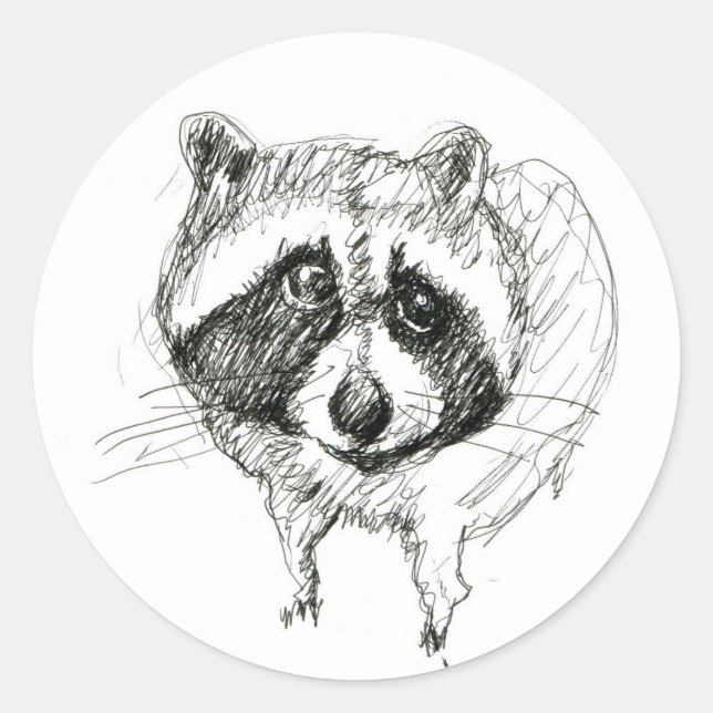 Adesivo Raccoon Sticker (Frente)