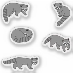 Adesivo Raccoons