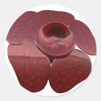 Adesivo Rafflesia Stickers